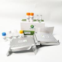 Buy cheap PRV Porcine Pseudorabies GB Swine Flu Test Kit Antibody ELISA Diagnostic 192 product