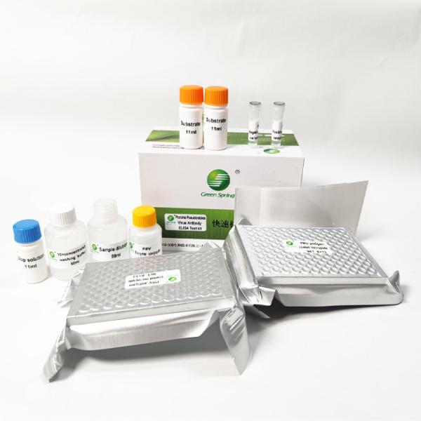 Buy cheap PRV Porcine Pseudorabies GB Swine Flu Test Kit Antibody ELISA Diagnostic 192 Wells/Kit GMP from wholesalers