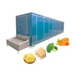 Quick Freeze Machine Low Temperature Blast Freezer For Industrial 600kg/H