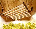 Full Spectrum 640w Hydroponic Hid Hps Professional Sulight LED Grow Light Bar