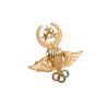 Buy cheap Army Emblem Insignia Custom Metal Badge Metal Military Hat Pins Army from wholesalers
