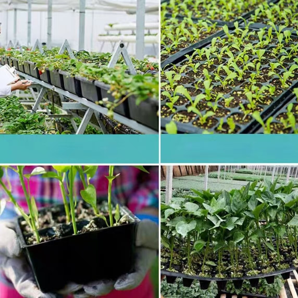 104 Cells Hole Nursery Seedling Tray Planting Plastic Nursery Tray For Garden