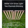 Buy cheap Solar LED Grow Lights UV 900w LED Grow Light Full Spectrum Essential Lighting For Plant Cultivation from wholesalers
