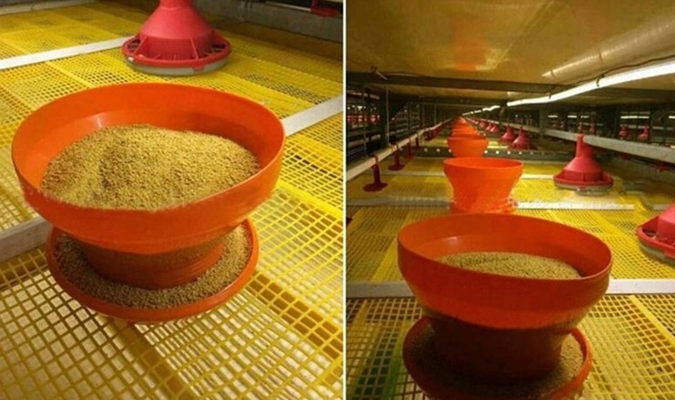 4kg Farm Turbo Chick Poultry Feeder Drinker Pan