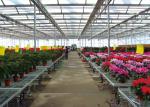 PC Sheet Cover Material and Commercial Vegetables Seeds Vertical Farming
