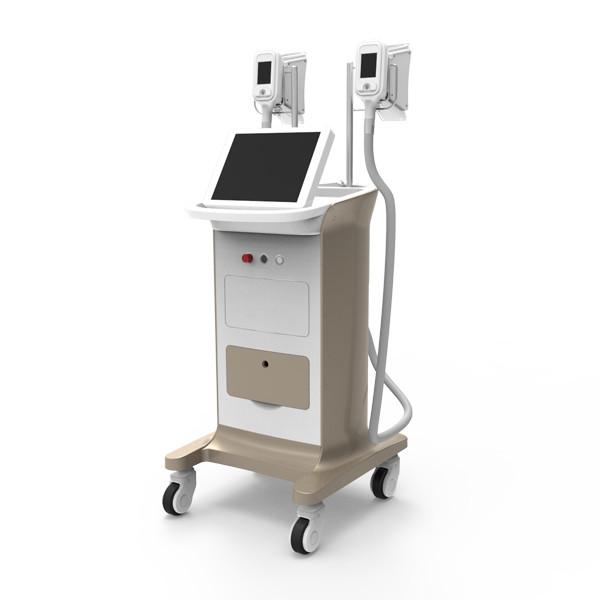 Buy cheap best fat reducing laser treatments vacuum therapy cellulite cryolipolysis slimming machine for sale from wholesalers