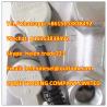 Buy cheap 100% Original BOSCH CP2 Fuel Metering Unit 2 469 403 204 , 2469403204 genuine , including 0281002423 , 0 281 002 423 from wholesalers