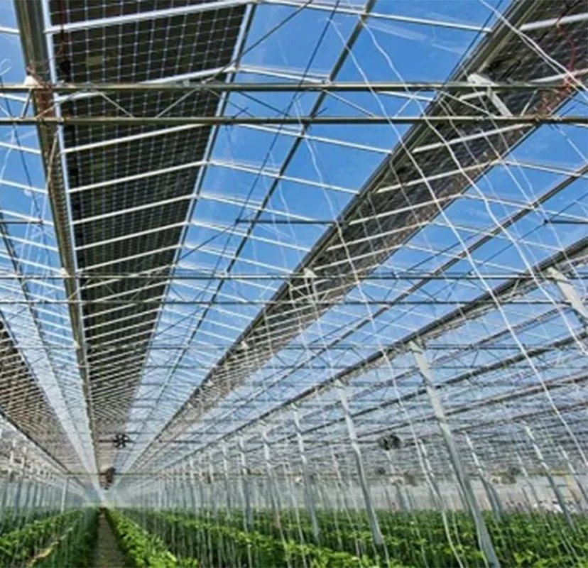 Multi-Span Arch Type Cucumber Lettuce Photovoltaic Greenhouses