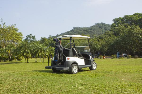 Buy cheap Club Car 2 Seater Electric Golf Cart 48V Battery from wholesalers