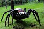 Attractive Realistic Animatronic Insects Spider For Theme Park Exhibition