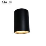 IP65 waterproof modern design ceiling mounted 15W COB LED downlight&outdoor LED