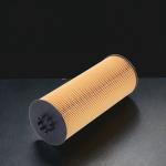 High Quality Factory Direct Oil Filter Models A5411800209 A54118402 LF3829