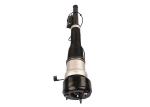 A2213205613 A2213205813 High Quality Rear Air Suspension Shock Absorbers Gas