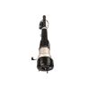 Buy cheap A2213205613 A2213205813 High Quality Rear Air Suspension Shock Absorbers Gas Strut For Mercedes Benz S Class W221 from wholesalers