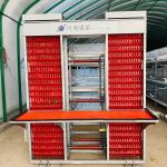Hot Dipped Galvanized Chicken Farm Cage 5 Layers / Cell