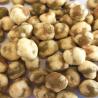 Buy cheap Wasabi / Salted BBQ Coated Roasted Green Peas Snacks Kosher Halal OEM from wholesalers