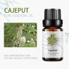 Buy cheap 100ml Massage Essential Oils MSDS Cajeput Essential Oil Skin Benefits from wholesalers