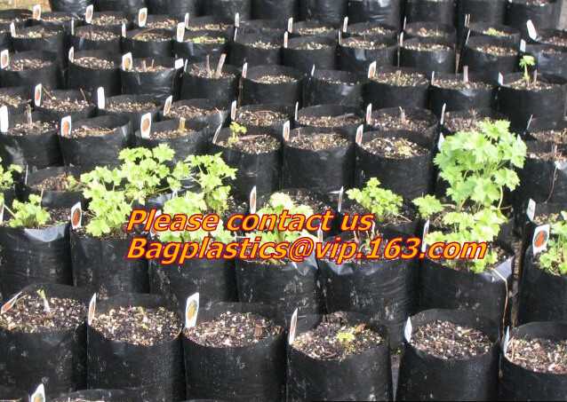Perforated plastic mulch film use for vegetable planting,Film with Punched Holes Agriculture Mulch Perforated Film PACK