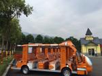 Various Cartoon Patterns Of 14 SEATS Electric Cartoon Sightseeing Bus power 72v7
