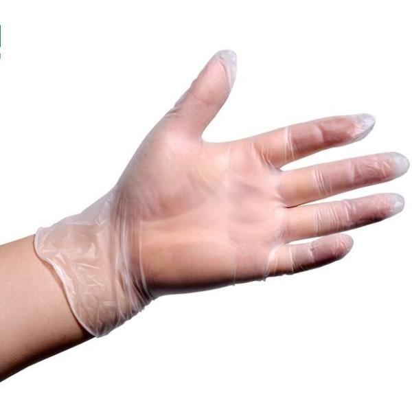 Buy cheap Powdered / Powder Free Clear Vinyl Glove , Latex Free Vinyl Gloves Odorless from wholesalers