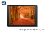 Beautiful Nature Scenery 3D Lenticular Images Stereograph Printing 30*40cm Size