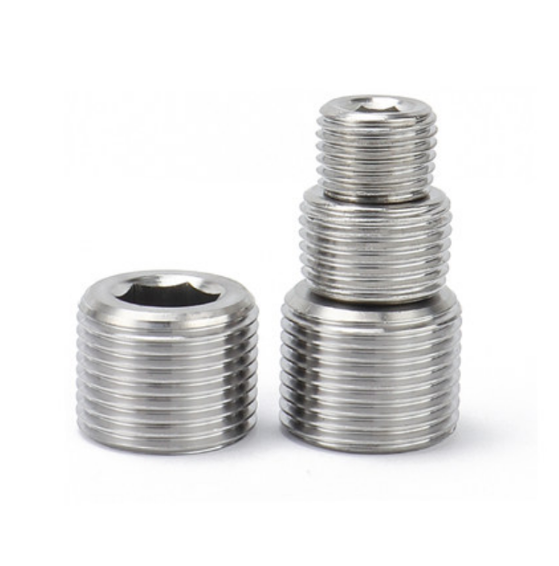 Plain Finish Hexagon Socket Pipe Plugs DIN906 for Building and Construction Projects