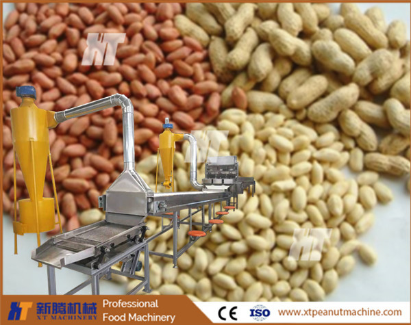 600kg/h Peanut Blanching Machine Hazelnut Roasted Peanut Peeling Machine