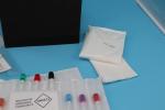 Plastic 95kPa Reusable Medical Ice Packs Insulated Shipping Kits