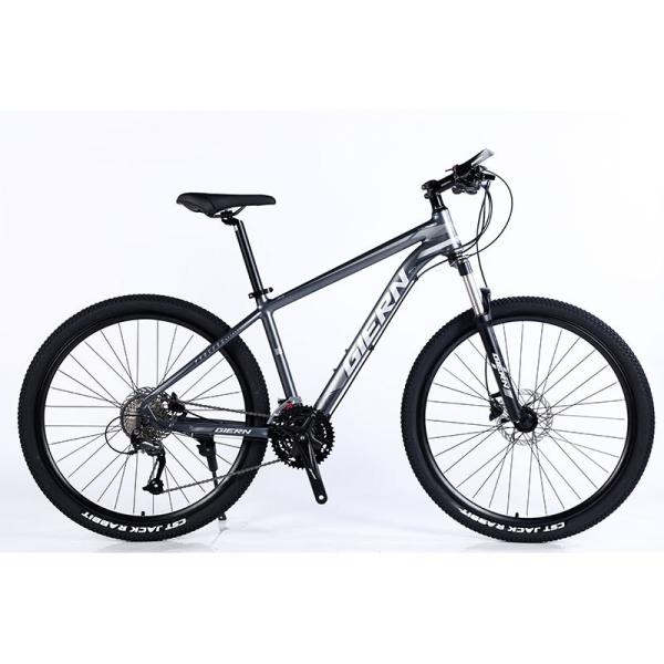 Front and Rear Wheel Disc Brake Mountain Bike Speed Mountain Bike Qualified