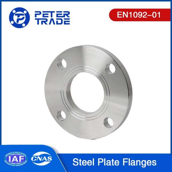 Buy cheap EN1092-01 PN 10 TYPE 01 Carbon Steel Plate Flange Raised Face PLRF For Piping Systems from wholesalers