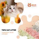 OEM ODM Bulk Tofu Cat Litter Fast Clumping Bulk Kitty Litter