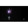Buy cheap Mandarin Professional 100 Shots Salute Pyrotechnics from wholesalers