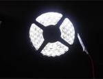 SMD3528 60LEDs/m strip