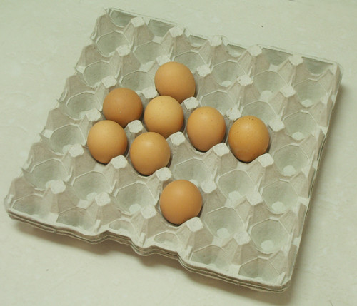 Recycling Egg Carton Forming Machine , Disposable Bowl Making Machine 100kw