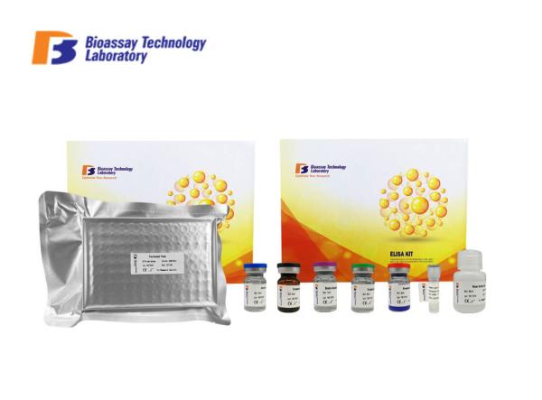 Buy cheap HSD17B2 Human ELISA Kit Sandwich Immunosorbent Assay Kit With Oem Service from wholesalers