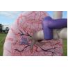 Buy cheap Giant Inflatable Lung Model Advertising For Medical Exhibition Events from wholesalers