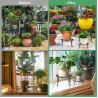 Buy cheap Metal Flower Pot Stand Black Steel Vintage Powder Coating Plant Pots Planters Rack from wholesalers