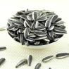 Buy cheap Raw Materials Price factory Supply China raw sunflower seeds ready for loading from wholesalers