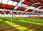 6/9.6/12meters Single/Multi Span Photovoltaic Greenhouses for Country Illuminate