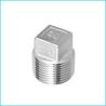 Buy cheap Customized Stainless Steel Pipe Fittings Seamless Square Plug SQ from wholesalers