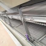 380V Cage House Poultry , Automatic Layer Poultry Equipment Long Life Span