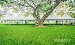 Hot Sale 10x10 PVC Event Marquee Pagoda Uganda Tents Price