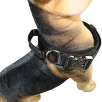 Buy cheap 40 Inch 32 Inch Cute Dog Collars 30cm 75cm X Xs Xl Personalized Dog Collar product