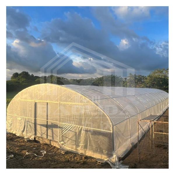 Buy cheap High-Performance PE Film Tunnel Greenhouse for Agricultural Projects from wholesalers