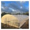 Buy cheap High-Performance PE Film Tunnel Greenhouse for Agricultural Projects from wholesalers
