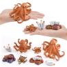 Buy cheap Squid Octopus Life Cycle Figure Model Toy For Boys Girls Kids from wholesalers