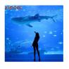 Buy cheap Outdoor Acrylic Pool Wall with 50Mm 80Mm Thick Full Clear Acrylic Glass Sheet Panel from wholesalers