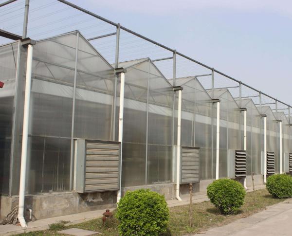 Buy cheap Multi Span Polycarbonate Greenhouse from wholesalers