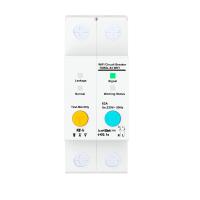 Buy cheap Intelligent WIFI Circuit Breaker with 2Poles 63A product