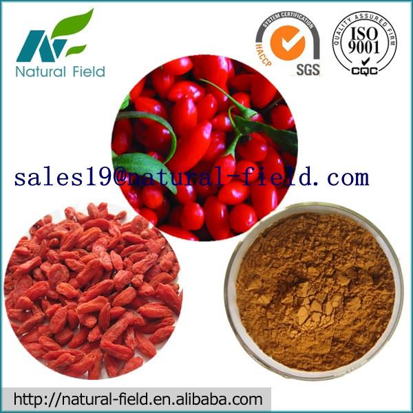 Quality manufacture Wolfberry Extract 40%&amp;50% with factory price for sale